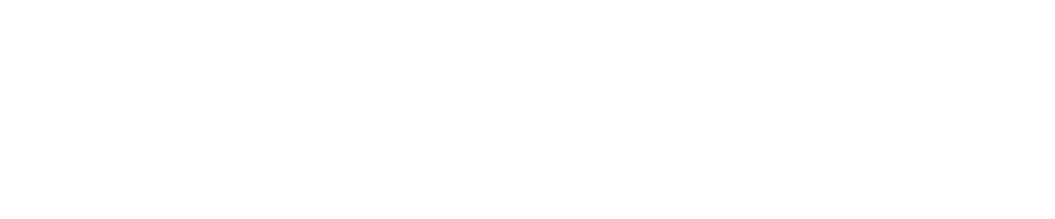 Peanut AI Logo